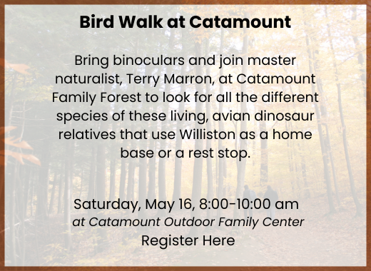 Catamount Bird Walk