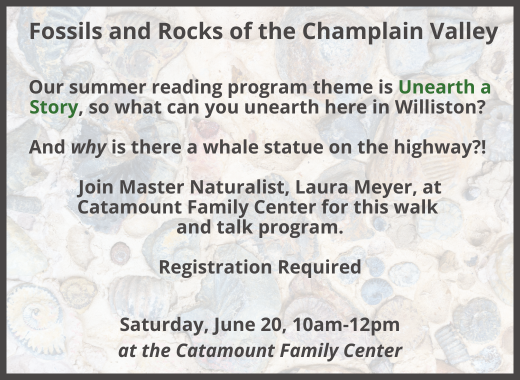 Fossils and Rocks of Champlain Valley